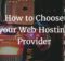 web hosting provider